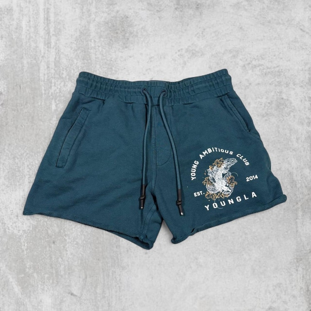 YoungLA Young Ambitious Club 2014 Koi Graphic Shorts Teal Blue Medium YLA152